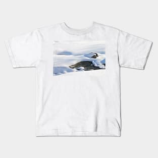 Winter Frosting Kids T-Shirt